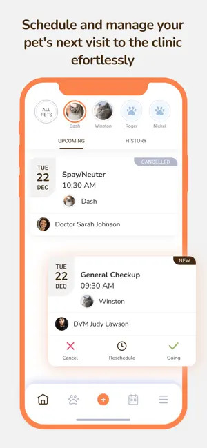 Check in ahead of your Cat's appointment with Tails, the CatsOnly AI assistant
