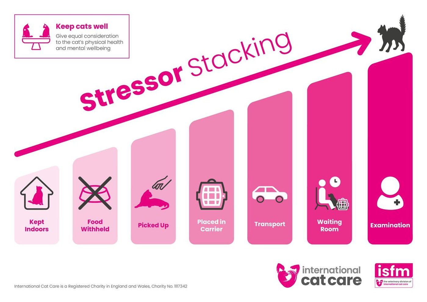 ISFM Stressor Stacking diagram showing cumulative stress from kept indoors through examination